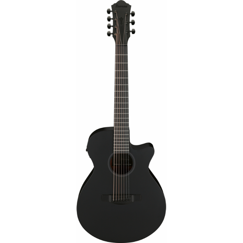 Ibanez AEG721 BOT Acoustic Guitar with Under-Saddle Pickups and Onboard Tuner