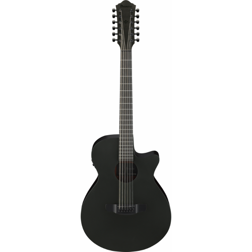 Ibanez AEG1221 BOT Acoustic Guitar with Pickup
