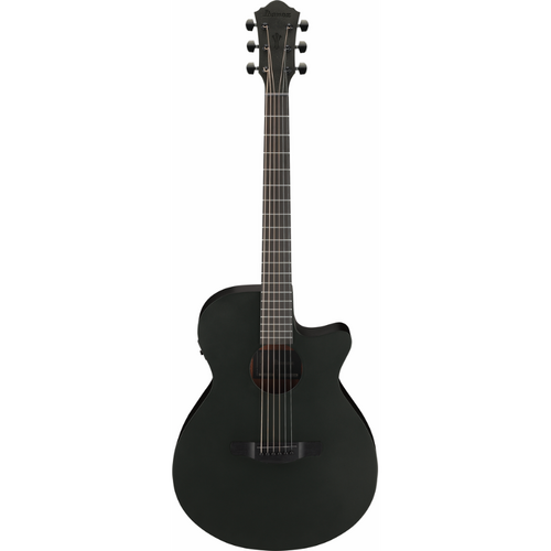 Ibanez AEG621 BOT Acoustic Guitar with Pickup