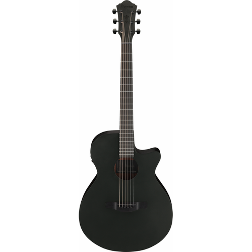 Ibanez AEG621 BOT Acoustic Guitar with Pickup