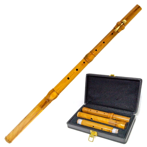 Irish Flute Cocuswood 5-Part with Case