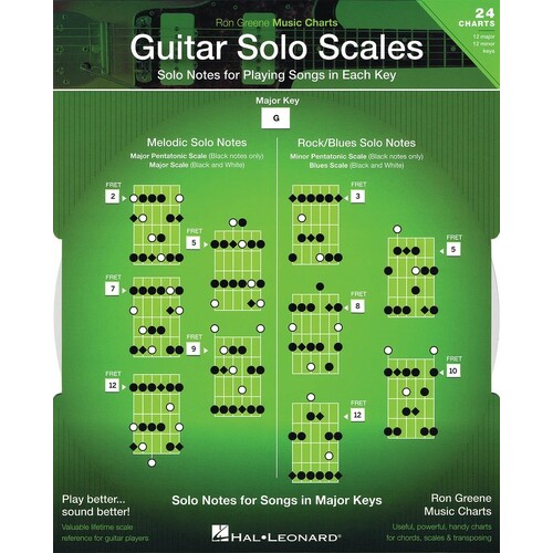 Guitar Solo Scales Set Of 24 Charts (Softcover Book)