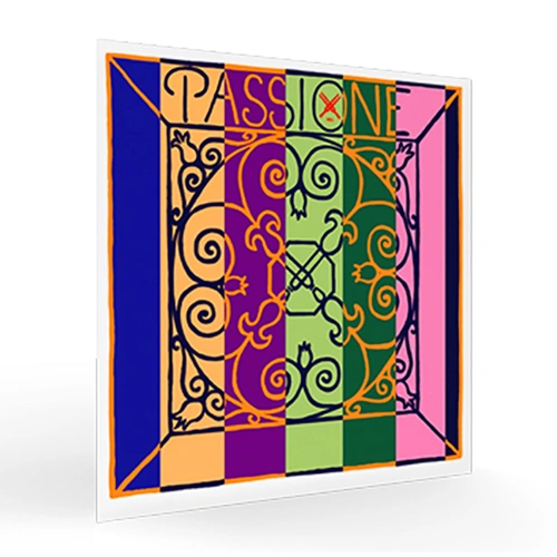 Pirastro Violin Passione Gut/Silver D String 13
