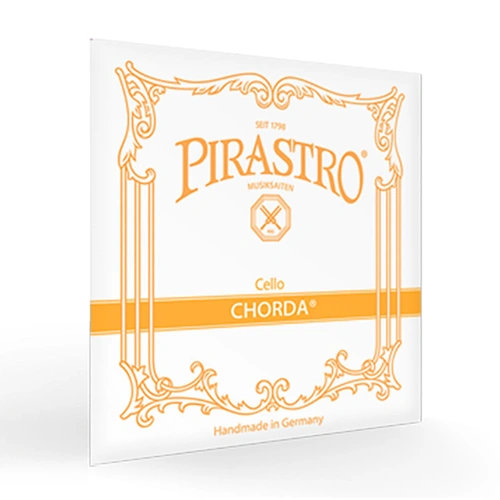 Pirastro Chorda D Plain Gut Cello String
