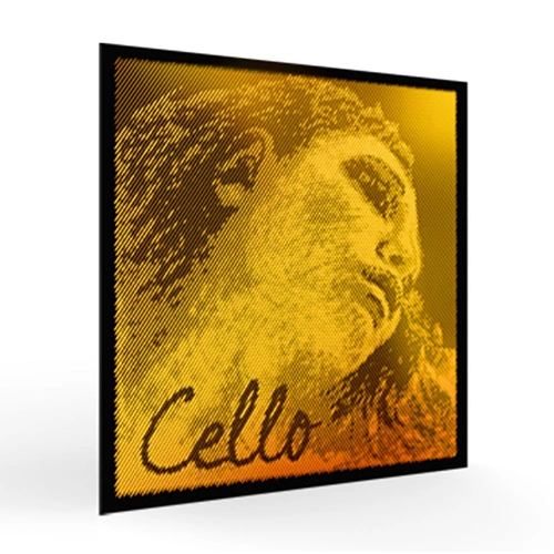 Pirastro Cello Evah Pirazzi Gold D String