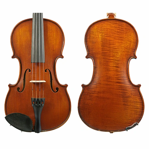 Gliga I Violin Outfit 1pc Back Dark Antique with Opal Gold Strings 4/4