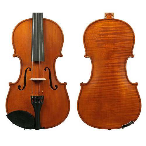 Gliga I Violin Outfit 4/4 with One-Piece Antique Back, Opal Gold Strings, Articul Bow, HQ Half-Moon Case