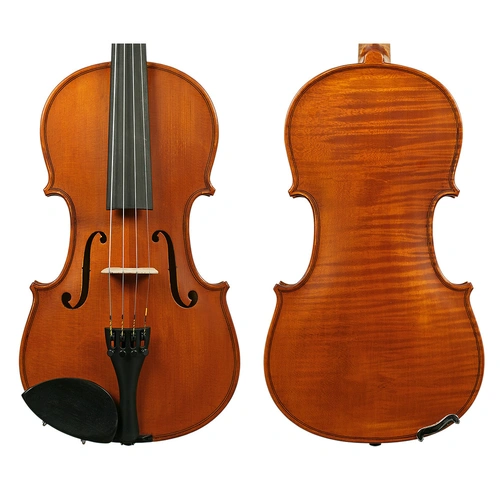 Gliga I Violin Outfit 4/4 - Antique One-Piece Back with Opal Gold Strings, Articul Bow & HQ Half-Moon Case