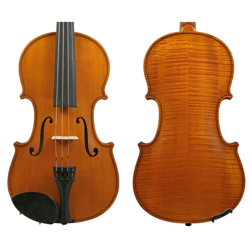 Gliga I Violin Outfit Standard Finish with Opal Gold Strings 4/4