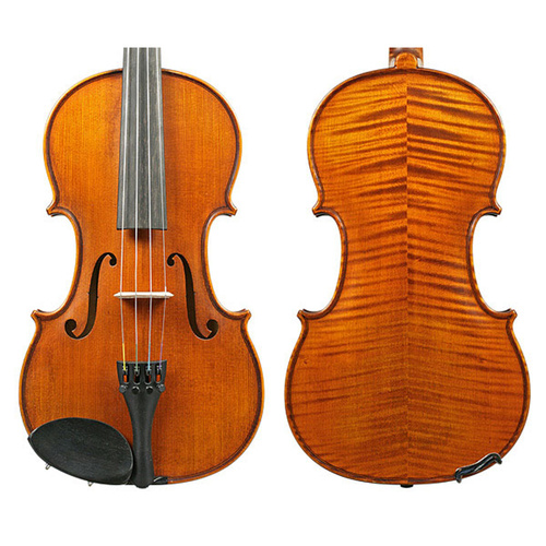 Gliga Vasile Professional Violin 5 Colour 4/4 with Solid Spruce Top and Maple Back
