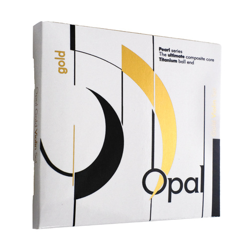 Opal Gold Professional Violin Set with Strings and Accessories
