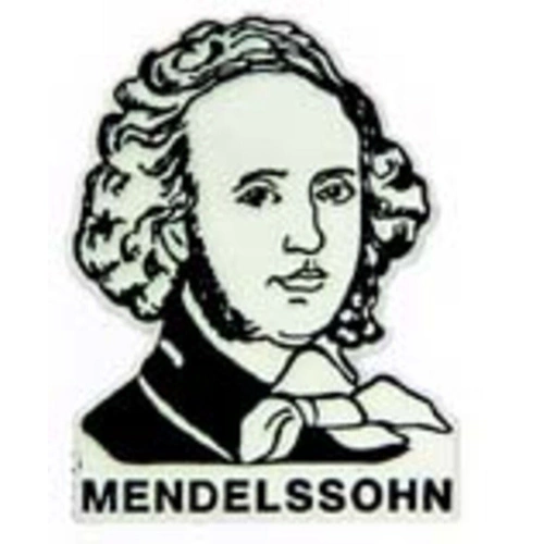 Magnet Mendelssohn by AIM Gifts