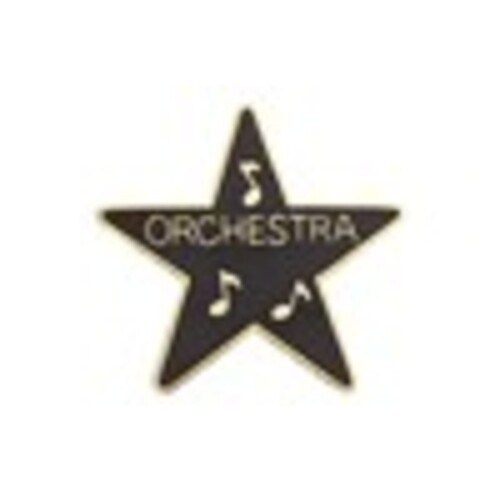 Mini Pin Star Award Orchestra