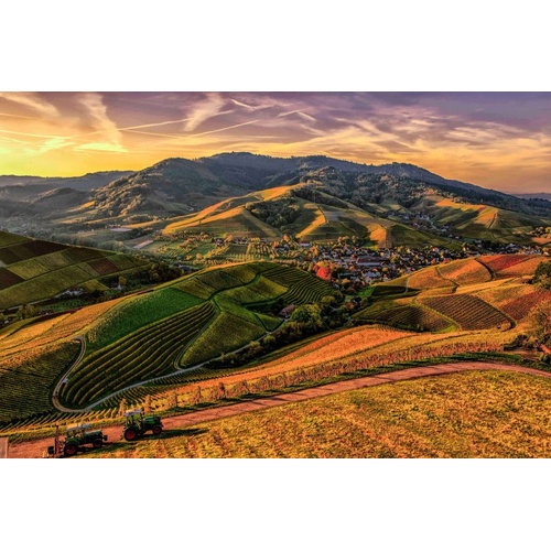 Folk Guitar for Beginners Book with Enhanced CD - 48 Pages, Alfred Music