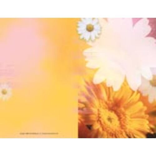 Recital Program Blanks Spring Theme Pack Of 25