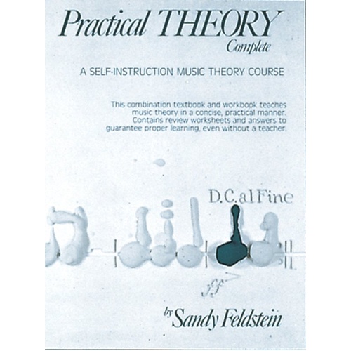 Feldstein Practical Theory Volume 2 Textbook