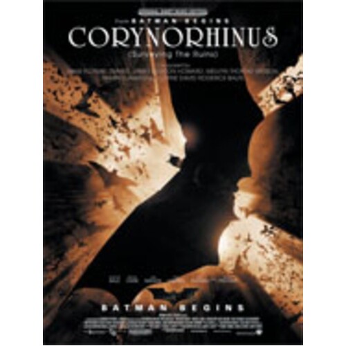 Corynorhinus From Batman Begins Single Sheet