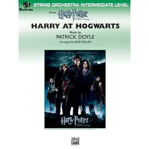 Harry At Hogwarts Harry Potter Goblet Of Fire So