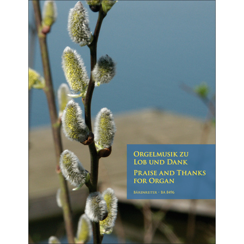 Praise And Thanks For Organ