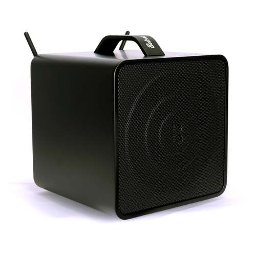 Belcat 40W Two-Channel Rechargeable Wireless PA System with Microphone and Bluetooth