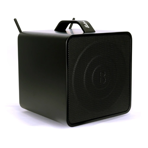 Belcat 8040W Compact 40 Watt Two-Channel Rechargeable Wireless PA System with Bluetooth and USB