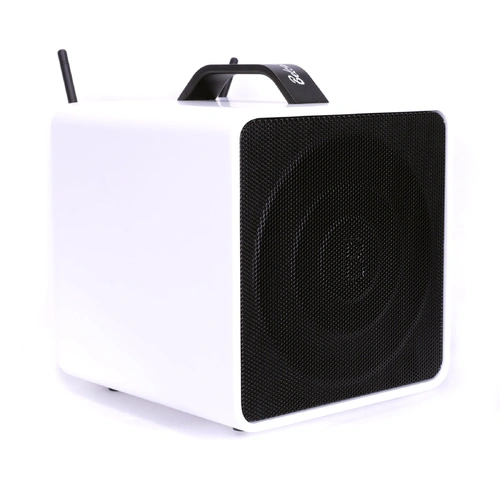 Belcat 8040W Compact 40 Watt Two-Channel Rechargeable Wireless PA System with Bluetooth and Microphone
