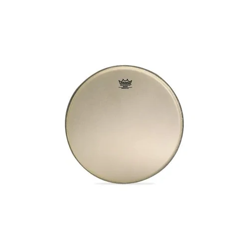 Remo 11 Inch Banjo Head Renaissance Medium Collar