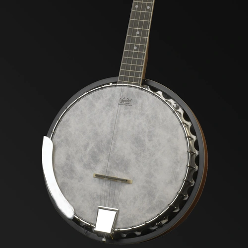 Barnes & Mullins BJ300 'Perfect' 5-String Banjo