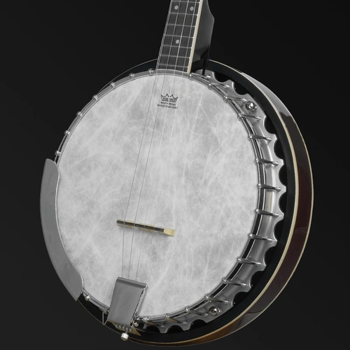 Barnes & Mullins BJ304GT 4-String Gaelic Tenor Banjo