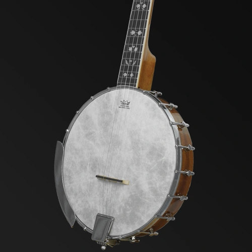 Barnes & Mullins BJ350G 'Albert' Open Back Banjo