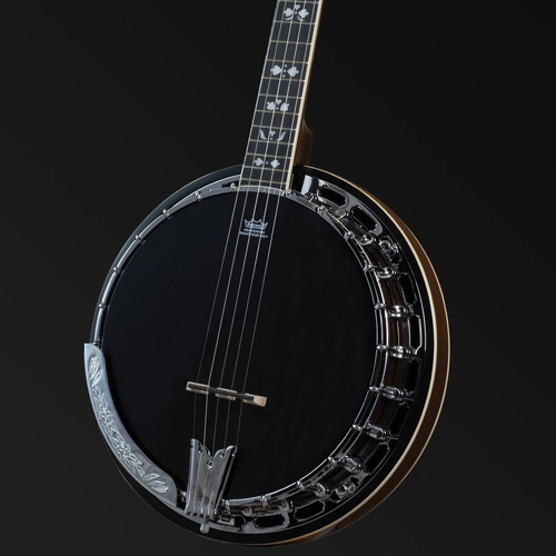 Barnes & Mullins BJ400 Rathbone 5-String Banjo