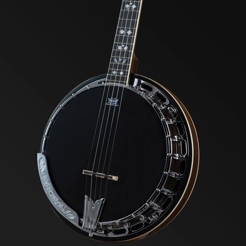 Barnes & Mullins BJ400E Rathbone 5-String Banjo with Pickup