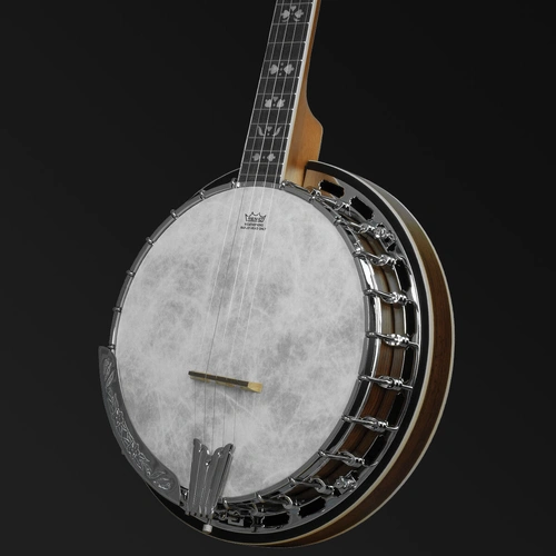Barnes & Mullins BJ500BW Empress 5-String Banjo
