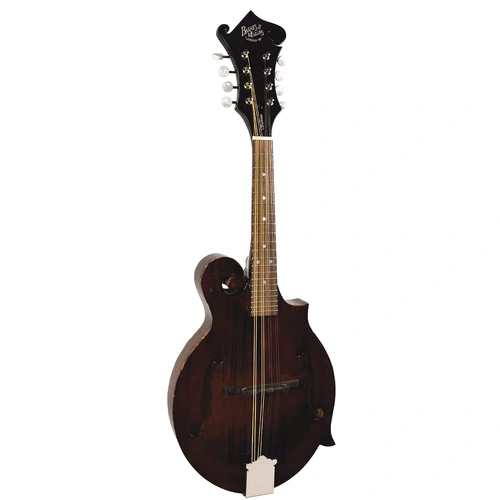 Barnes & Mullins BM650 Salvino F-Hole Mandolin