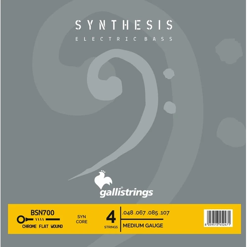 Galli Synthesis Flat Wound Electric Bass Guitar Strings Set 48-107