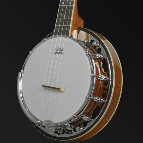 Barnes & Mullins BUBJ1 Banjo-lele Uke Banjo