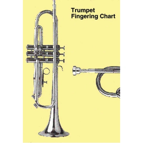 Trumpet Fingering Chart on Laminated Gatefold Card with Care Info and Diagram
