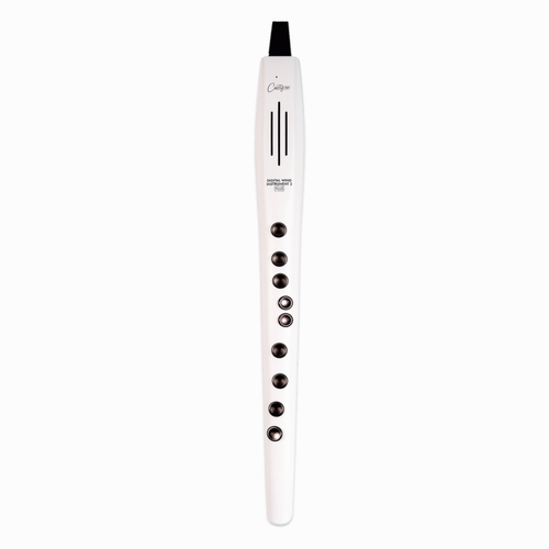 Carry-On Digital Wind Instrument Plus - White