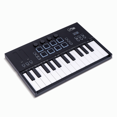 Carry-On Folding Controller 25