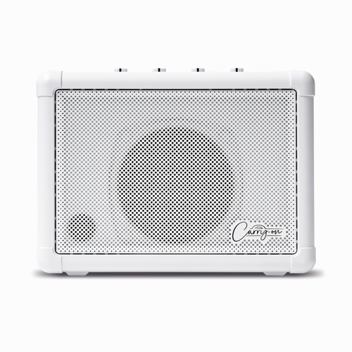 Carry On Mini Speaker Based on the Fly-3