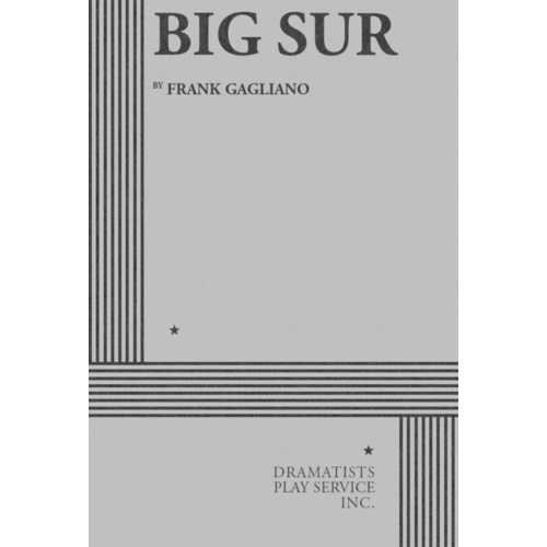 Big Sur Book