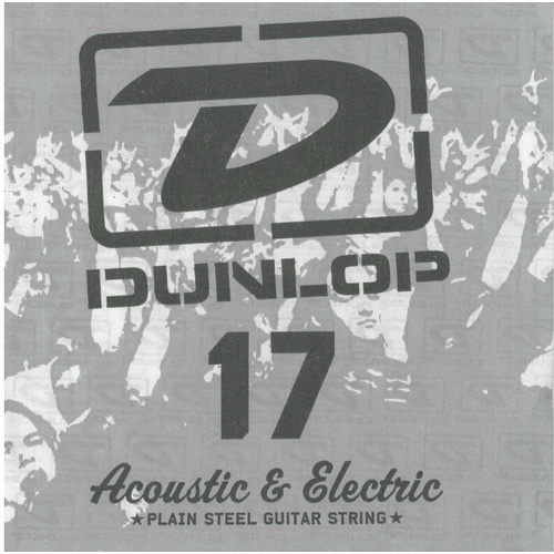 2 x Jim Dunlop DPS017 Single Plain Steel .017 G 3rd Electric Guitar String