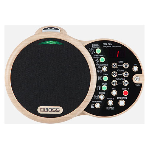 BOSS DR-01S Rhythm Partner - Acoustic Percussionist with Organic Sounds & Versatile Grooves
