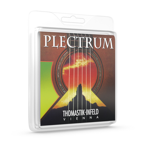 Thomastik AC113 Plectrum Bronze Acoustic Guitar Strings 13-61