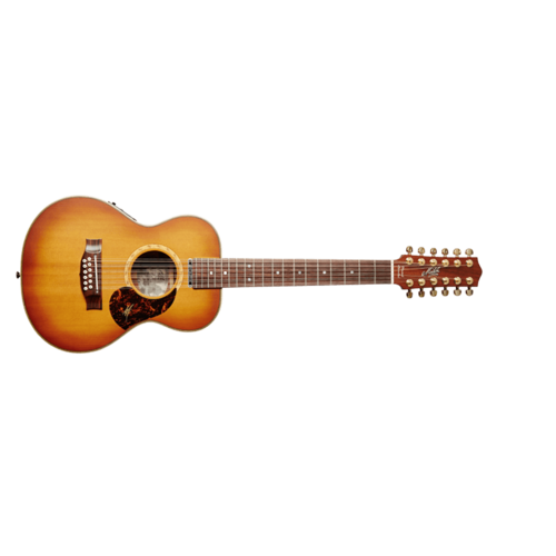 Maton EMD-12 Diesel 12 String Acoustic Guitar