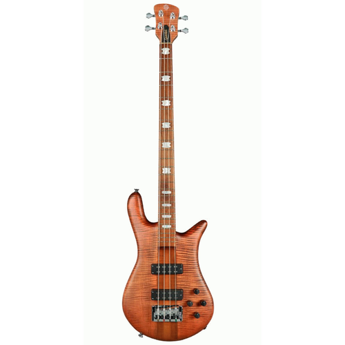 SPECTOR EURO 4 ROASTED SIENNA STAIN AGUILAR PUPS