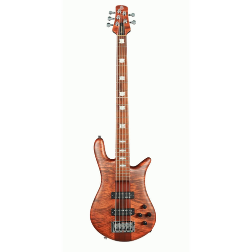 SPECTOR EURO 5 ROASTED SIENNA STAIN AGUILAR PUPS