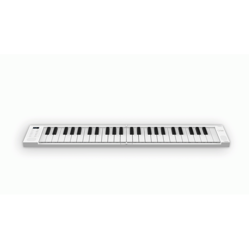 Blackstar Carry-On Folding Controller BK