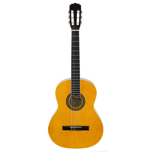Aria Fiesta 4/4-Size Classical/Nylon String Guitar in Natural