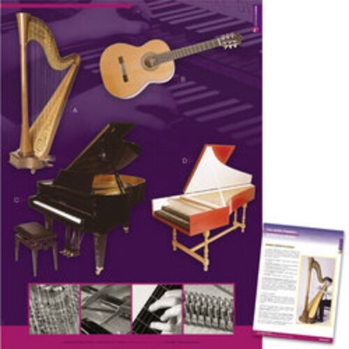 Strings Struck Strummed Plucked Poster Book